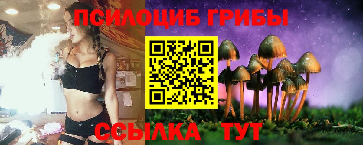 Клин  Галлюциногенные грибы Psilocybe  Вход с VPN 
